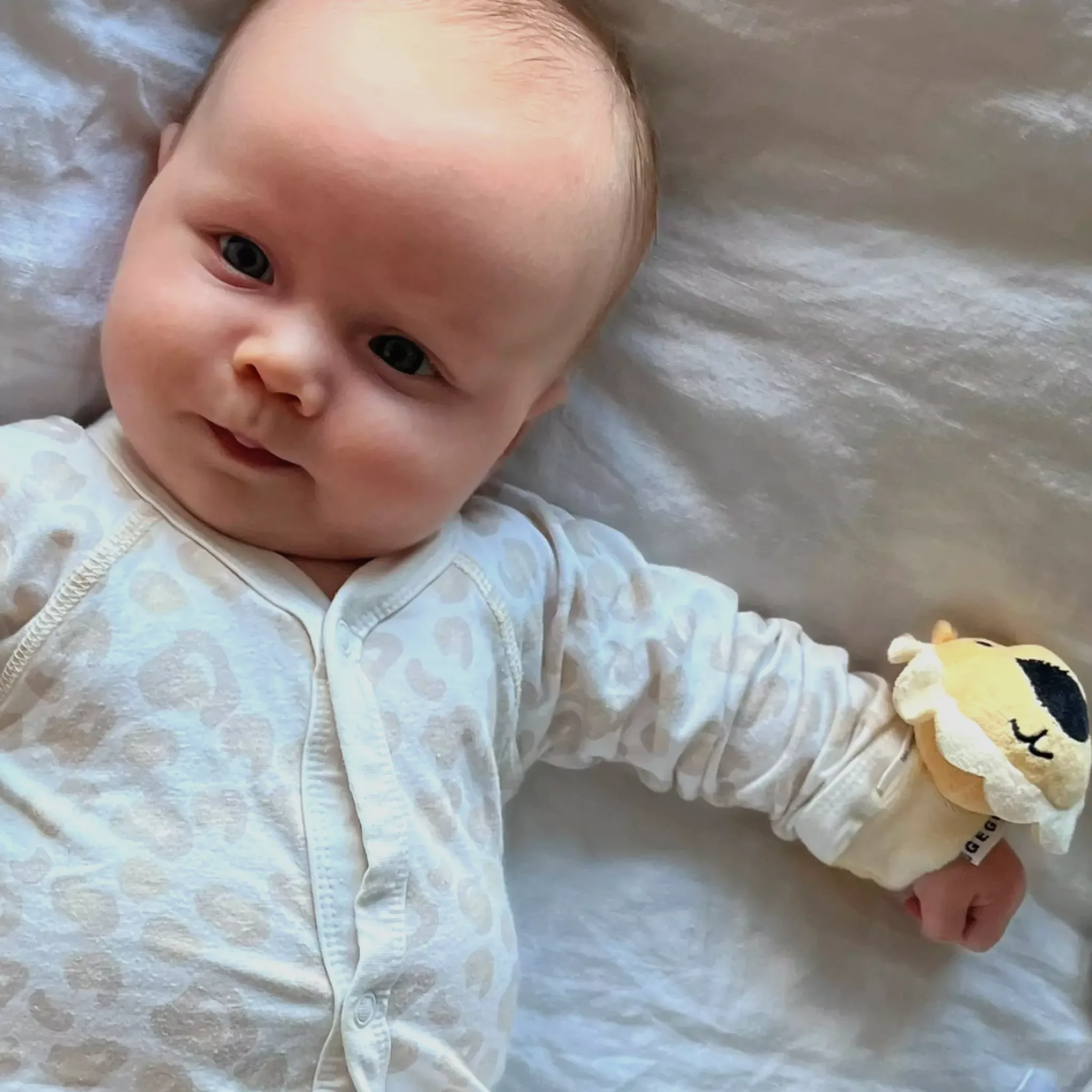 Geggamoja Mjukisdjur Och Doddi<Handledsskallra gul lejon