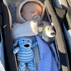 Geggamoja Mjukisdjur Och Doddi<Mini Doddi Blårandig